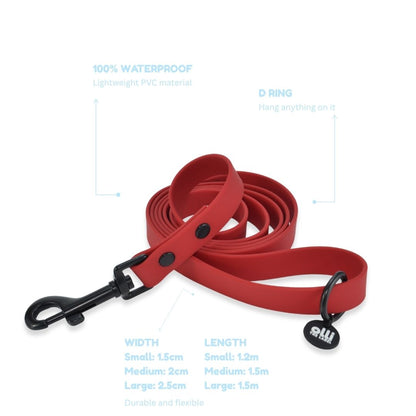 Lead + Collar Bundle- Candy Red