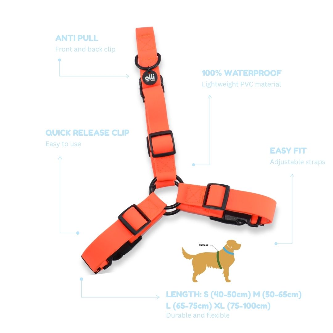 Olli Adventure Set - All Gear - Neon Orange