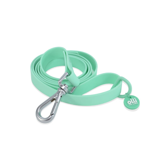 Waterproof Dog Lead – Turquoise