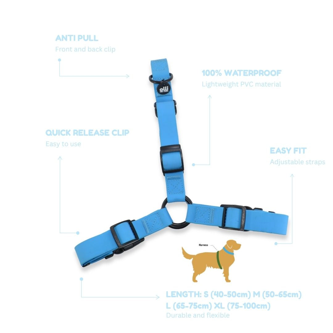 Beach Day Set - Lead + Harness Bundle - Olli Blue