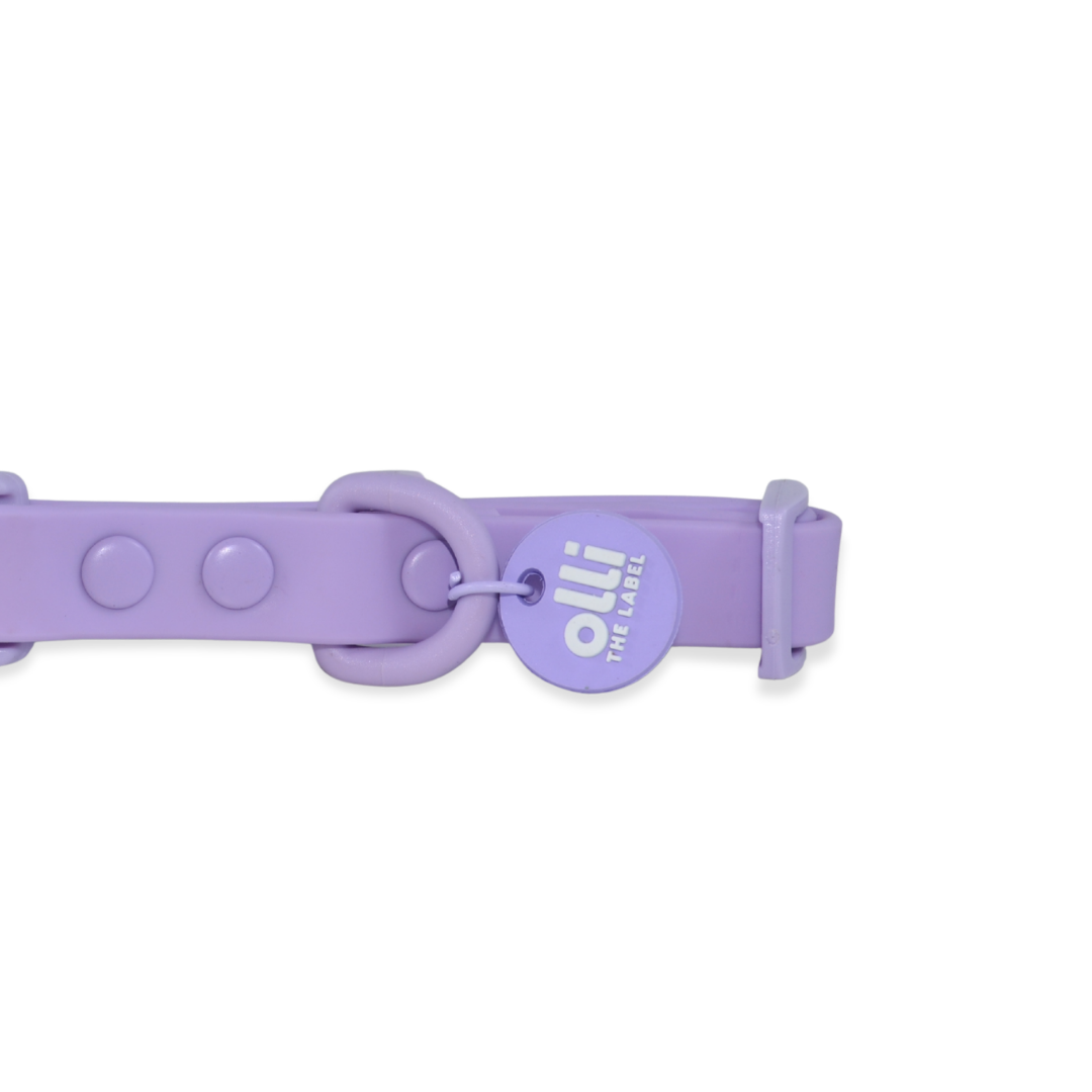 Waterproof Dog Lead and Collar Set – Lavender Bloom