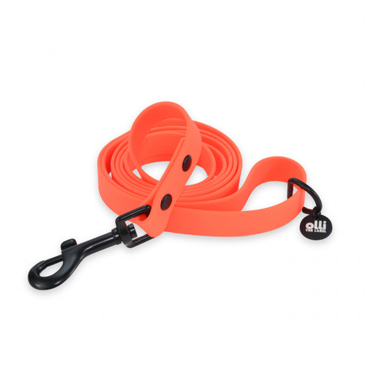 Waterproof Dog Lead – Neon Orange