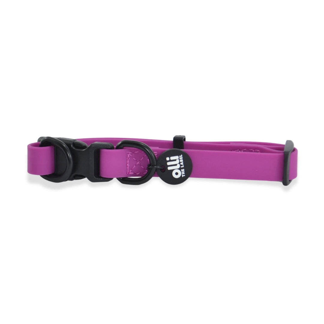 Waterproof Dog Lead and Collar Set – Purple Fuchsia