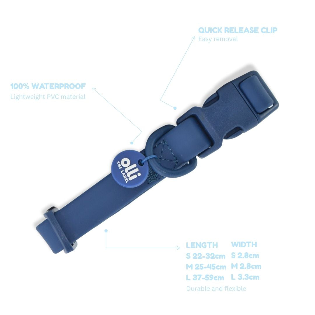 Lead + Collar Bundle- Berry Blue