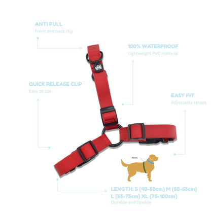 Beach Day Set - Lead + Harness Bundle - Candy Red