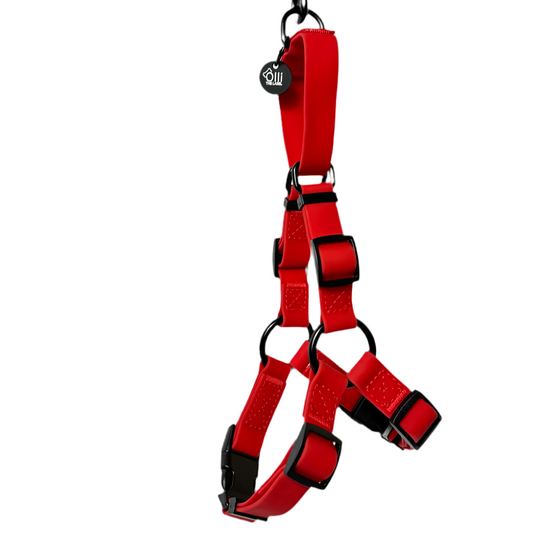 candy red harness