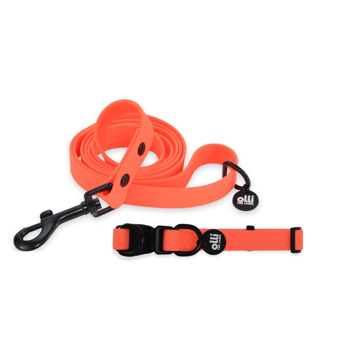 Waterproof Dog Lead and Collar Set – Neon Orange