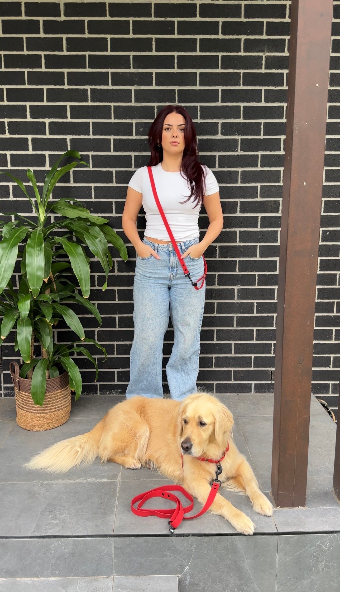 Waterproof Dog Harness and Lead Set – Candy Red