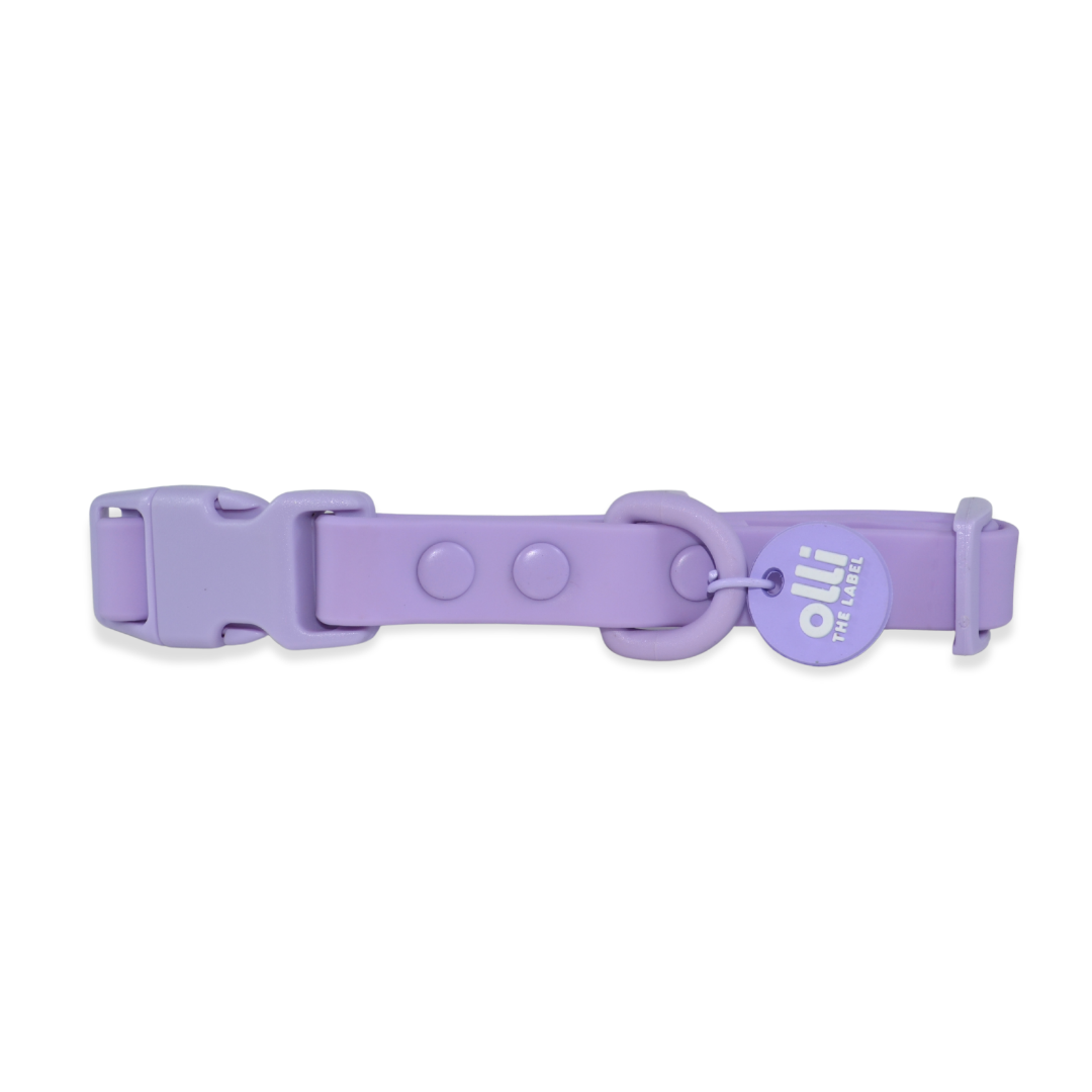Waterproof Dog Lead and Collar Set – Lavender Bloom