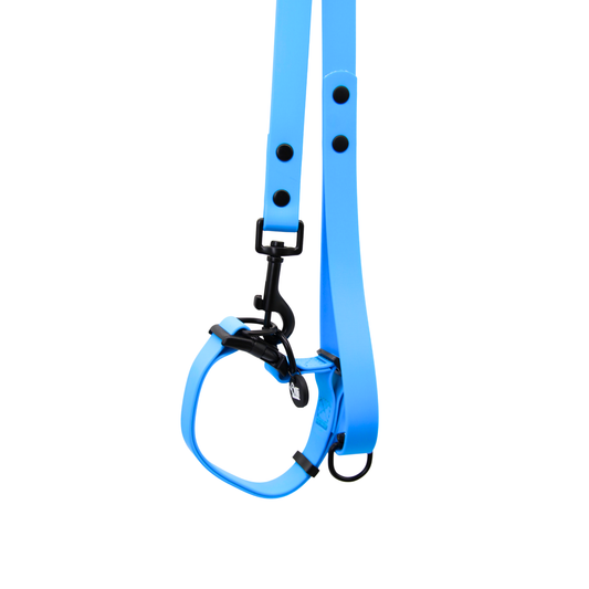 Waterproof Dog Lead and Collar Set – Olli Blue