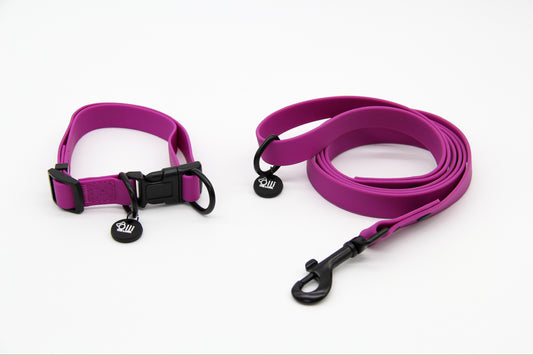 Waterproof Dog Lead and Collar Set – Purple Fuchsia