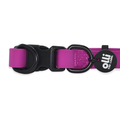 Waterproof Dog Lead and Collar Set – Purple Fuchsia