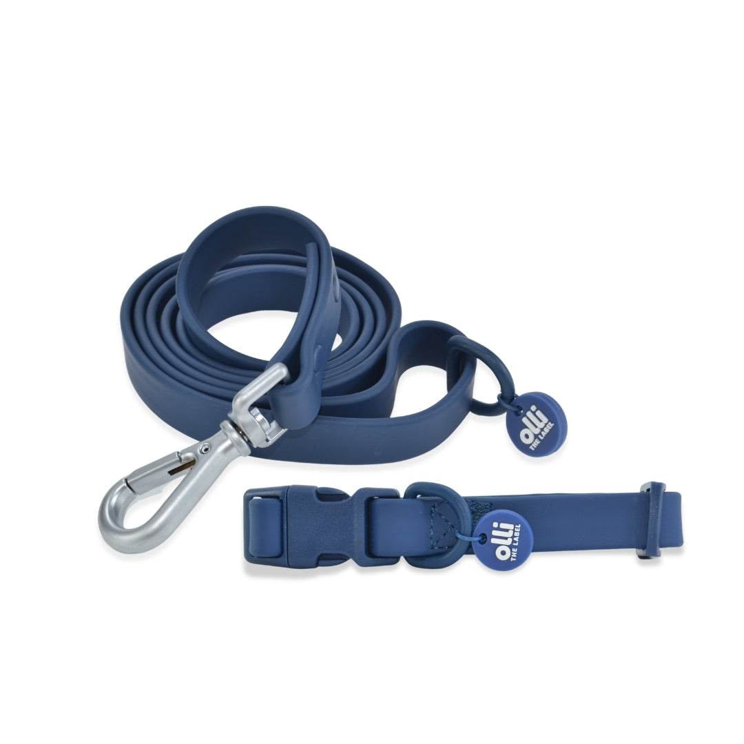 Berry Blue Pawfect Pair- Waterproof Lead + Collar