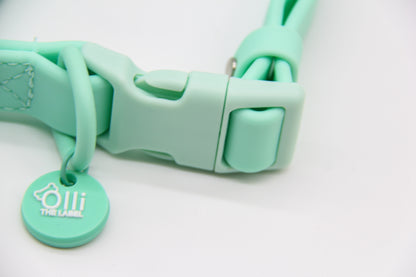 Waterproof Dog Collar – Turquoise – Adjustable