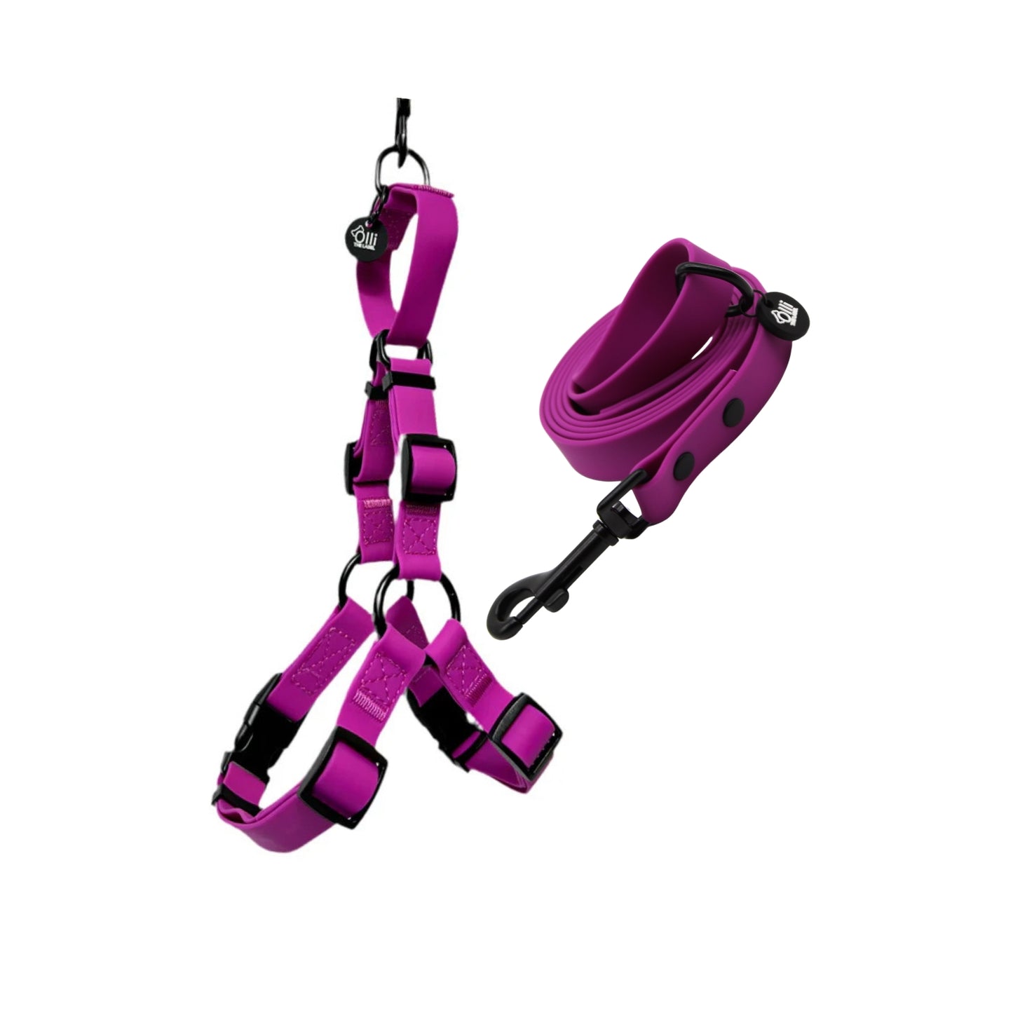 Purple Fuchsia Harness + Lead Pair- Waterproof Lead + Harness