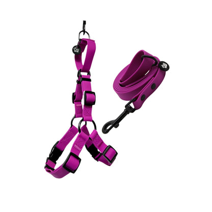 Purple Fuchsia Harness + Lead Pair- Waterproof Lead + Harness