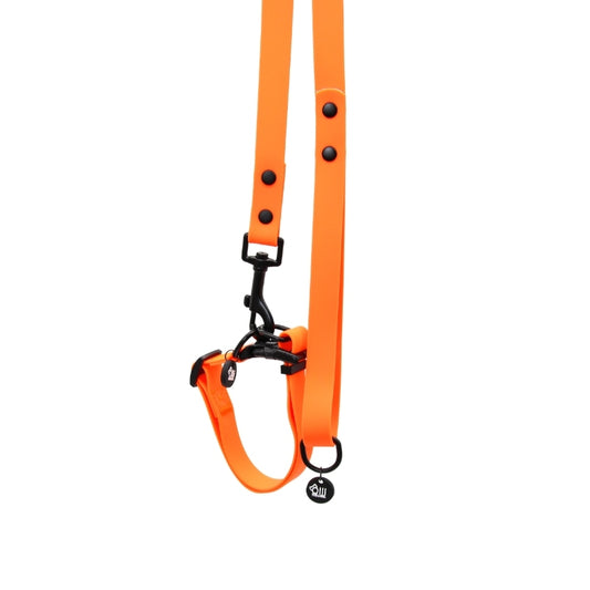 Waterproof Dog Lead and Collar Set – Neon Orange