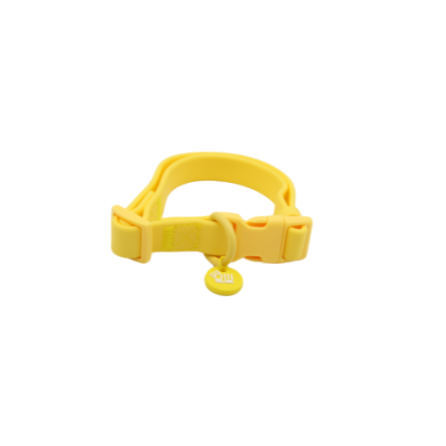 Mango yellow