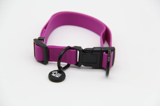 Waterproof Dog Collar – Purple Fuchsia