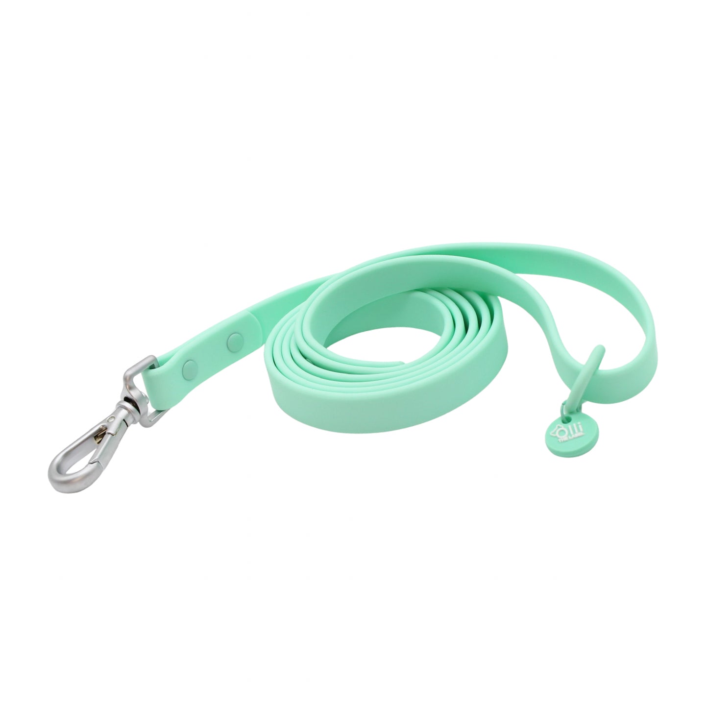 Turquoise Waterproof Lead