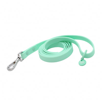 Turquoise Waterproof Lead