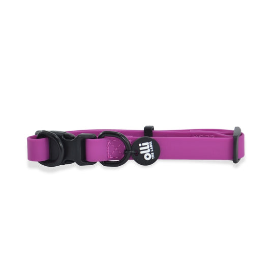 Waterproof Dog Collar – Purple Fuchsia