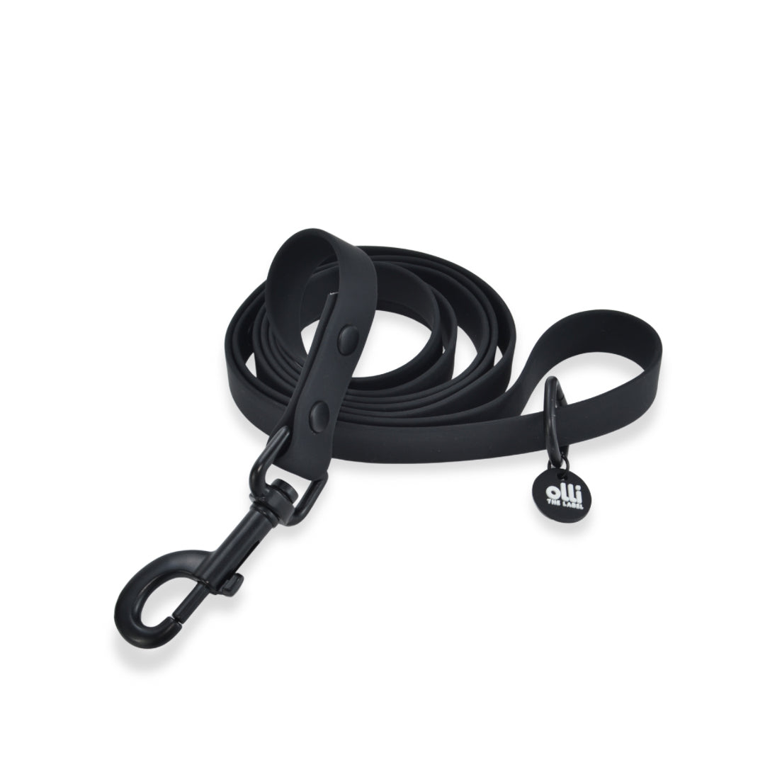 Waterproof Dog Lead and Collar Set – Neutral Black