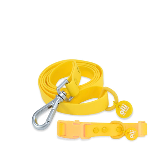 Waterproof Dog Lead and Collar Set – Mango Yellow
