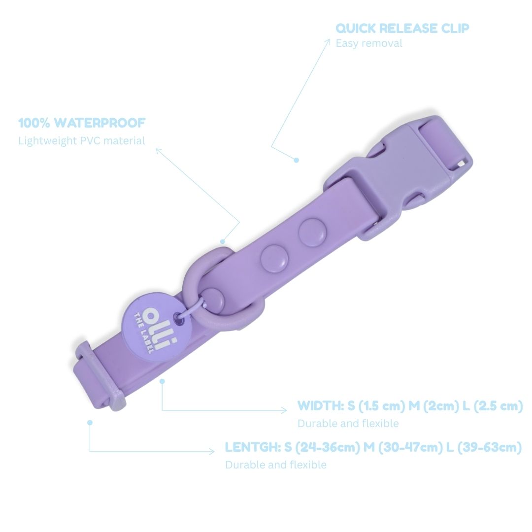 Everyday Set - Lead + Collar + Poop Bag Bundle - Lavender Bloom
