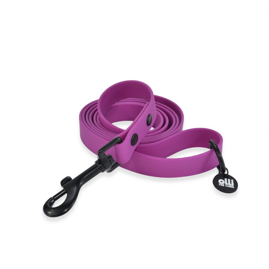Waterproof Dog Lead – Purple Fuchsia