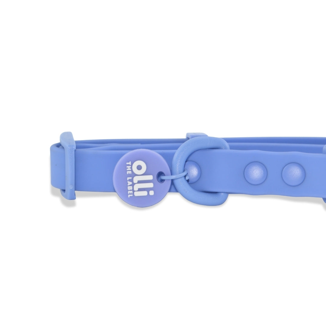Waterproof Dog Lead and Collar Set – Periwinkle Purple