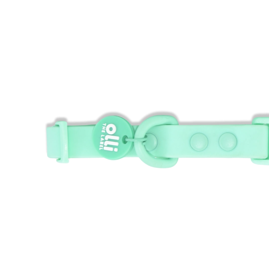 Waterproof Dog Lead and Collar Set – Turquoise