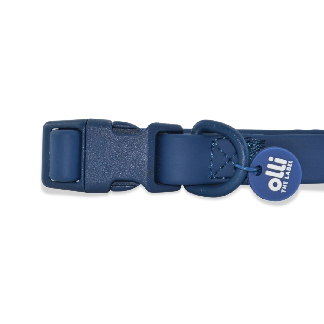 Berry Blue Pawfect Pair- Waterproof Lead + Collar