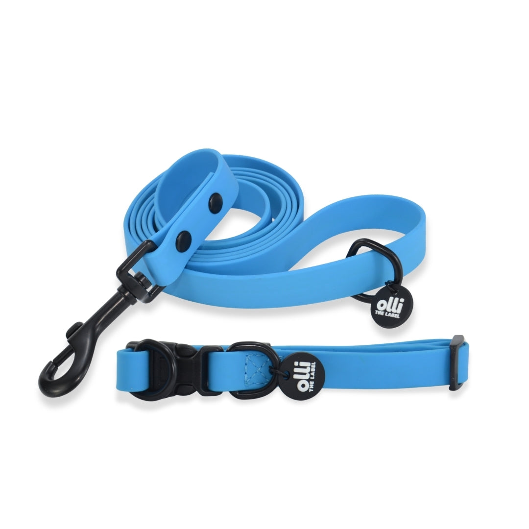 Waterproof Dog Lead and Collar Set – Olli Blue