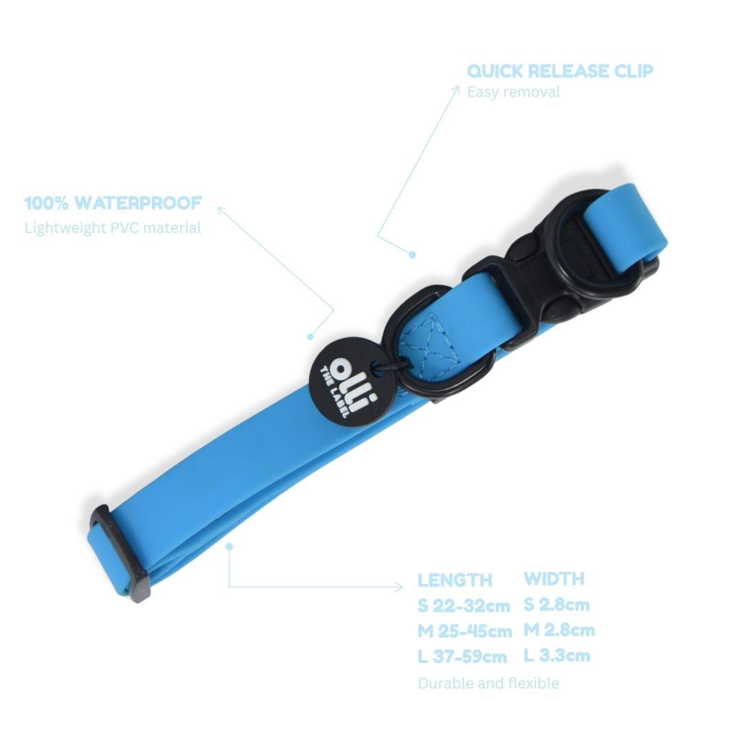 Lead + Collar Bundle- Olli Blue