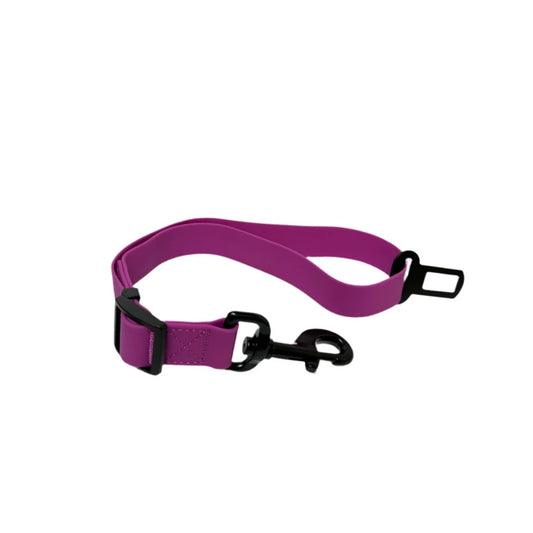 Waterproof Dog Seat Belt – Purple Fuchsia – Adjustable