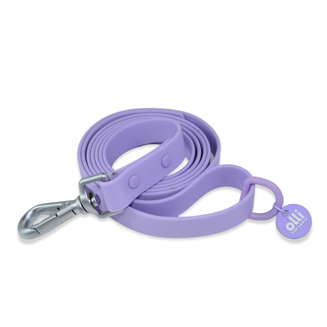 Waterproof Dog Lead and Collar Set – Lavender Bloom