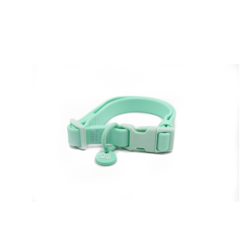 Turquoise collar