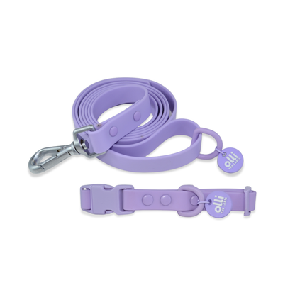 Waterproof Dog Lead and Collar Set – Lavender Bloom