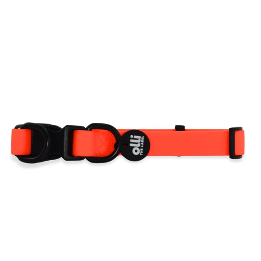 Waterproof Dog Collar – Neon Orange