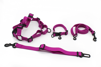 Purple Fuchsia Waterproof Full Set- Lead + Collar + Harness + Seat Belt