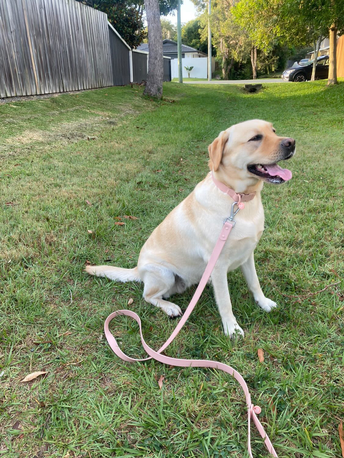 Pale Pink Waterproof Lead