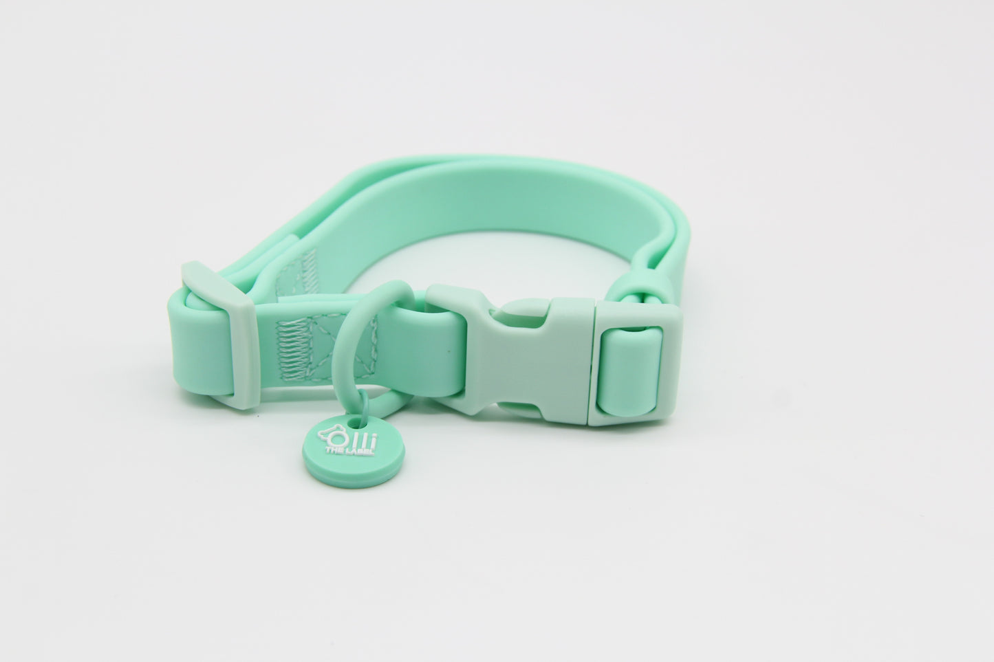 Waterproof Dog Collar – Turquoise – Adjustable