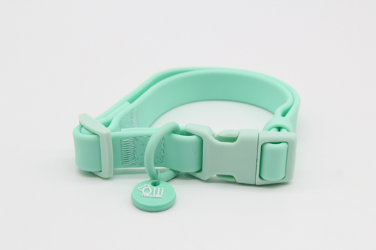 Waterproof Dog Collar – Turquoise