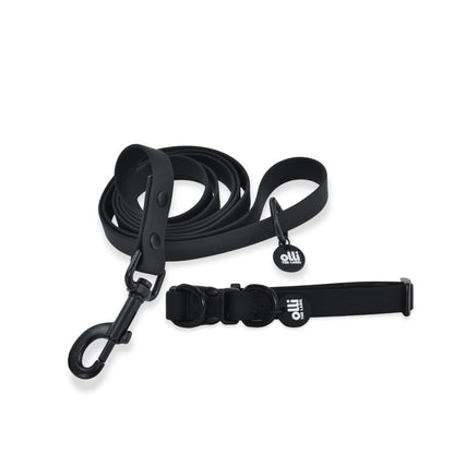 Waterproof Dog Lead and Collar Set – Neutral Black