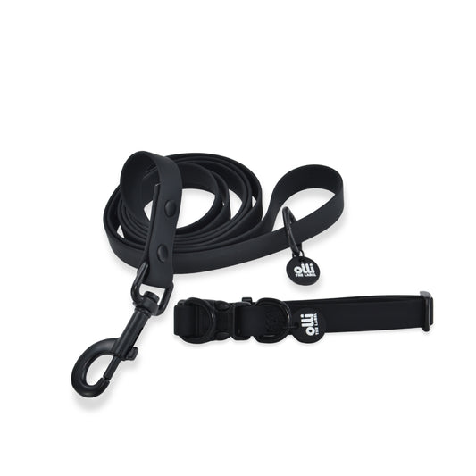 Waterproof Dog Lead and Collar Set – Neutral Black