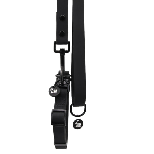 neutral black lead + collar