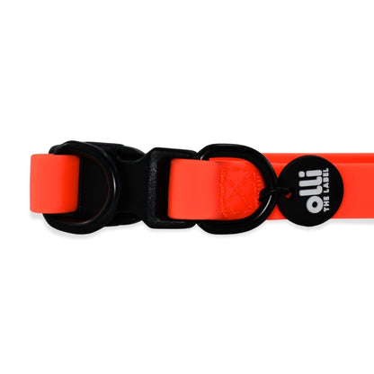 Waterproof Dog Lead and Collar Set – Neon Orange