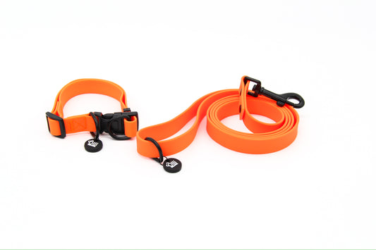 Waterproof Dog Lead and Collar Set – Neon Orange