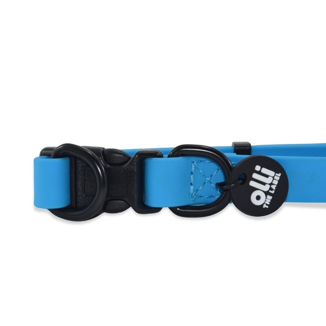 Waterproof Dog Lead and Collar Set – Olli Blue